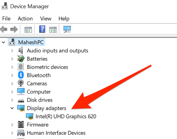 Double-click the Display Adapters entry