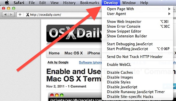 Open Safari browser.
Click on Safari in the top menu bar.