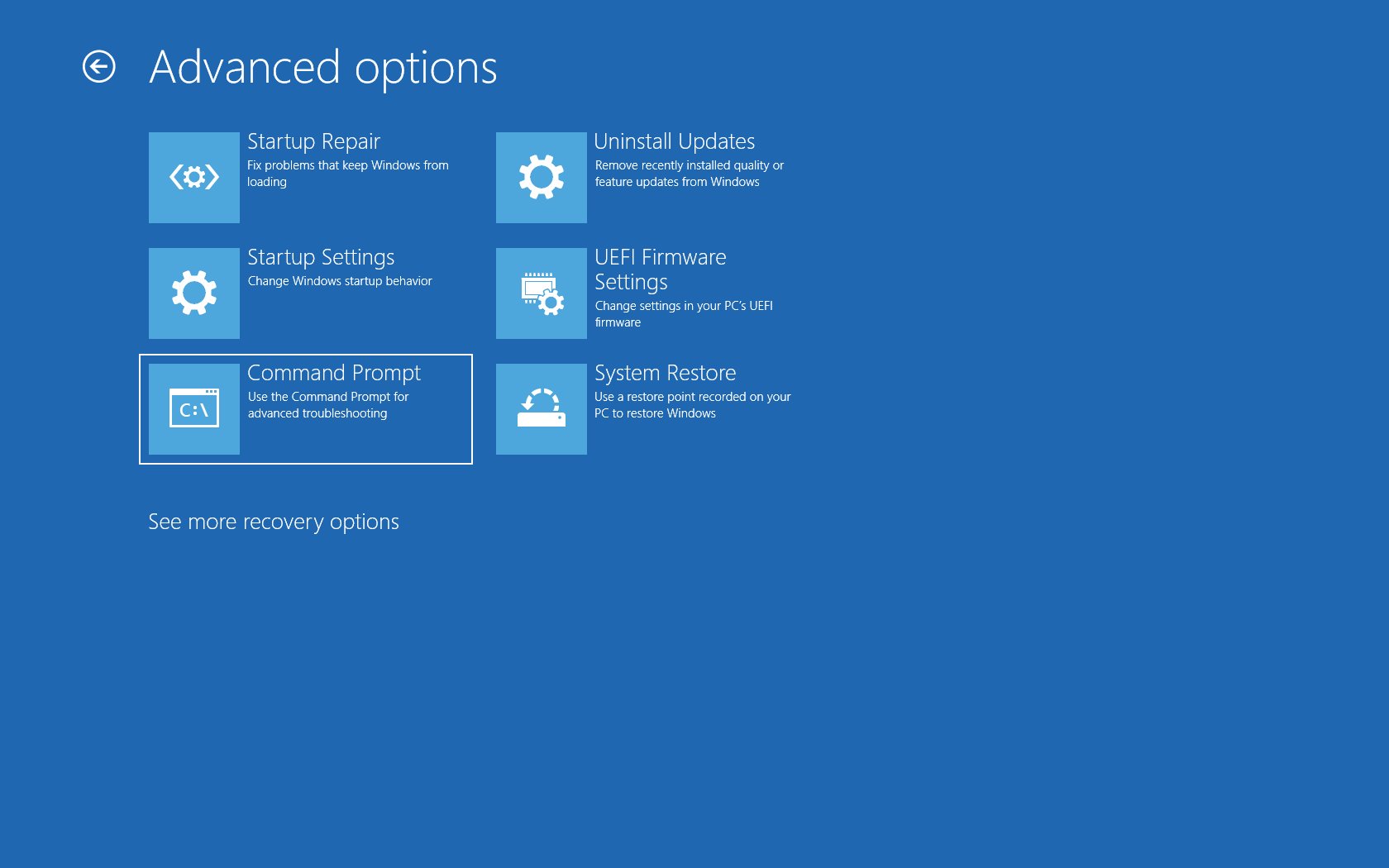 Then select Advanced options on the Troubleshoot screen.